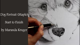 Drawing Timelapse  Dog Portrait of Maple Start to Finish [upl. by Ellene393]