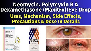 Maxitrol Eye Drops Neomycin Polymyxin B Dexamethasone for Eye Infection amp Inflammation Explained [upl. by Hctim]