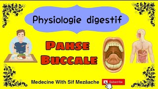 1 Phase Buccale  Physiologie 2éme Med [upl. by Yesrej]