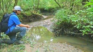 Fishing in a TINY CREEK [upl. by Anavlis]