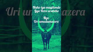 Umudamazera By Nina Gakwisi  lyrics  lyrics rwanda [upl. by Pippas]