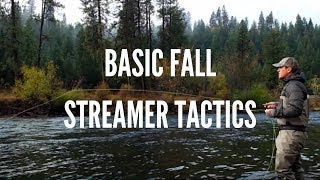 Basic Streamer Fly Fishing Tactics for Trout in the Fall [upl. by Berman]