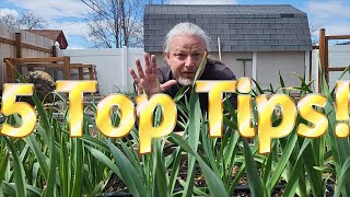 Simple Tips for Beginner Gardeners [upl. by Adnar]