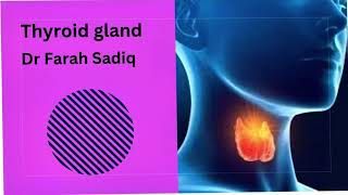 thyroid gland  hypothyroidism [upl. by Odrick]