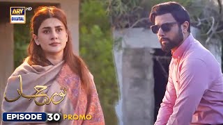 New Noor Jahan Episode 30  Promo  ARY Digital [upl. by Hekking]