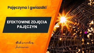 🕸 🕷JAK FOTOGRAFOWAĆ PAJĘCZYNĘ Fotografia zbliżeniowa  pajęczyna i gwiazdki słoneczne [upl. by Adna]