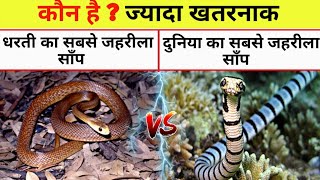 दुनिया के दो सबसे जहरीले सांपो में से कौन है  Inland taipan vs Belcher snake [upl. by Relyhcs]