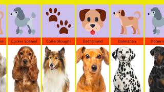 Dogs Breed images with Names  All Dogs photos with Name  100 Types of Dogs [upl. by Ineslta]