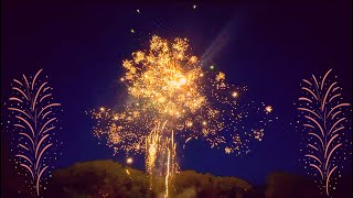 2022 Victoria Day Fireworks at Birchmount Park Toronto [upl. by Vasyuta]