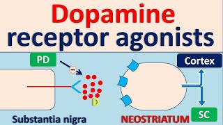 Dopamine receptor agonists for Parkinson Disease PD [upl. by Nairred653]