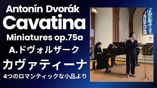 ドヴォルザークカヴァティーナ ADvorak Cavatina【フルートとピアノ】Flute amp Piano [upl. by Otreblide]