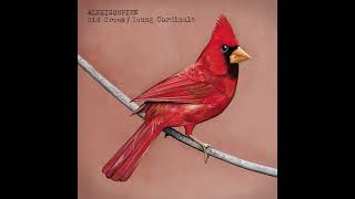 Alexisonfire  Young Cardinals drumless [upl. by Archambault]