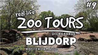 Blijdorp Taman Indah  Real Life Zoo Tours ft Zoofluencer amp LideROfficial [upl. by Anerual263]