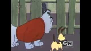 Looney Tunes Chester y Spike en Español [upl. by Aseen]