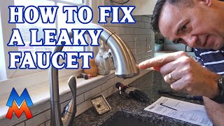 Fixing a Leaky Delta Faucet  Try this First Before Replacing the Single Handle Valve Cartridge [upl. by Wallis]