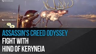 Assassins Creed Odyssey  Fight with Hind of Keryneia [upl. by Nan]