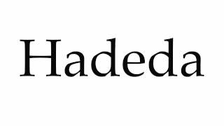 How to Pronounce Hadeda [upl. by Ezra]