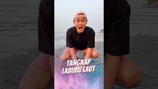 Tangkap Labubu Laut 🏝️ [upl. by Eisler]