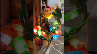 GIANT CHRISTMAS LIGHTS TUTORIAL christmas merrychristmas christmasdecorations christmasdiy [upl. by Ettenim]