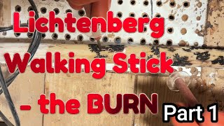 Lichtenberg Walking Stick  The Burn  Part 1 [upl. by Elleined]