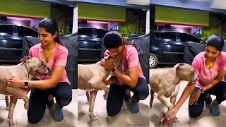 Tanya Ravichandran Latest Video in Dog  Tanya Ravichandran  Cinemaths Tamil [upl. by Pros]