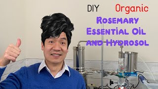 DIY Organic Rosemary Essential Oil and Hydrosol at Home Steam Distillation of Dried Rosemary [upl. by Daphna]