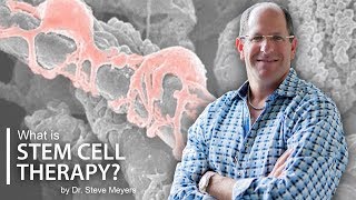 Regenerative Stem Cell Therapy Explained  Dr Steve Meyers [upl. by Waldon]