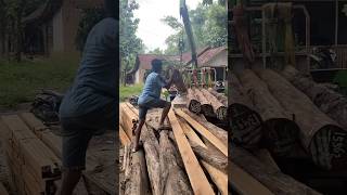 Bahan 16x14x540 kayu perhutani blora shortvideo kayu trendingshorts [upl. by Favien]