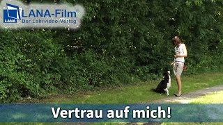 Vertrau auf mich DVD  Hunde souverän führen [upl. by Mcnutt48]