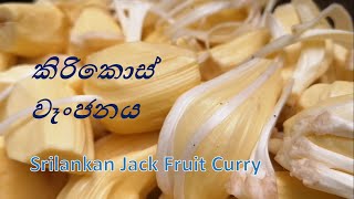 Tasty Jack fruit curry by Happy villager [upl. by Noir529]