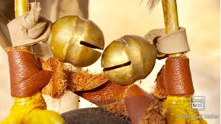 How to use bells for hawk falcon and eagle golden eagle falcon trapped pakistan falconry [upl. by Enyrehtak]