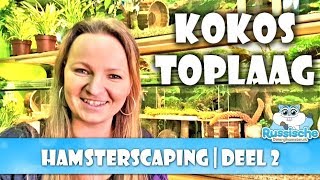 🐹💚 Hamster Kooi Inrichten 16 🥥 Kokos als toplaag voor de hamsters [upl. by Nitsugua]