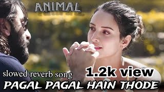 animal movie New song pagal pagal hain thode lofi trending song slowed reverb song mind relax song [upl. by Nittirb]