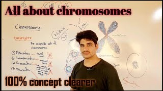 chromosomes formation NucleusBiology BiologyScienceSK13 superbiolog RobsonBiollo [upl. by Rema]