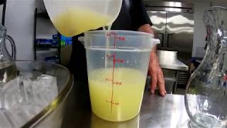 Make Completely Natural Fresh Squeezed Lemonade [upl. by Duffie]