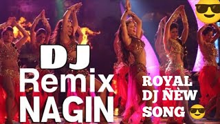 NAGIN DJ SONG [upl. by Gayn]