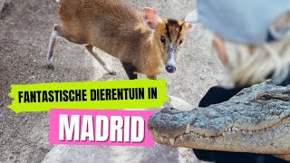 VERRASSEND MOOIE DIERENTUIN IN MADRID 484 [upl. by Lambard406]