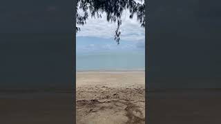 Palm cove cairns beach [upl. by Khanna172]