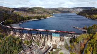 Agawa Canyon Tour Train Chase [upl. by Rozamond]