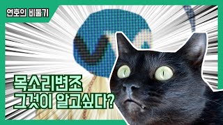 목소리 변조 하는법 오버워치 적용가능 [upl. by Ferne]