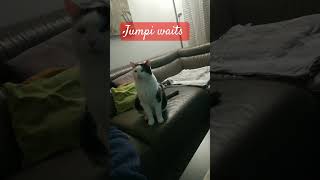 Jumpi wartet auf mich 😁 [upl. by Nosliw]