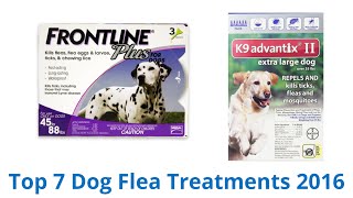 7 Best Dog Flea Treatments 2016 [upl. by Lauree]