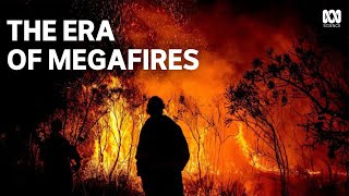 Extreme Wildfires  How megafires are reshaping forests [upl. by Nwotna880]