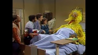 Sesame Street  Episode 1255 1979 [upl. by Pasol]