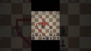 Petrovdefense Stafford gambit TRAP chessgame chess chessforall fyp fypシ゚viral shorts [upl. by Foscalina]