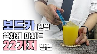 보드카 맛있게 마시는 22가지 방법 [upl. by Holladay751]