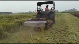 PADDY STRAW CHOPPER by Dhiman Industries [upl. by Eltsirc]