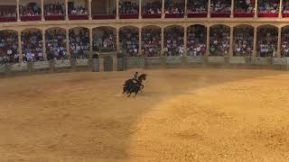 Bullfighting No Gore  Ronda  2918 [upl. by Annahc]