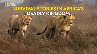 Survival on the Plains  Africas Deadly Kingdom  हिंदी  Full Episode  S1  E4  Nat Geo Wild [upl. by Ilona315]