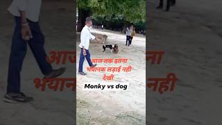 Monkey vs dog😱😳🙀shotrs shorts short youtubeshorts trending [upl. by Bilbe]